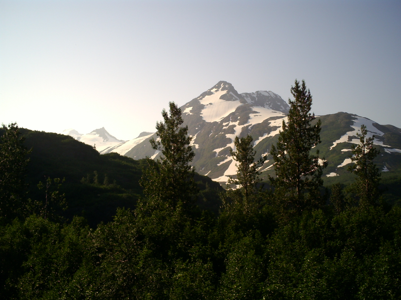 Alaksa mountains and forest