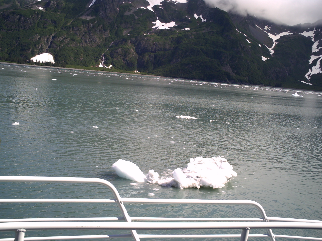 Iceberg in Kenai Fjords