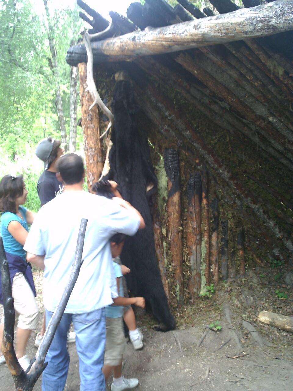 black bear skin