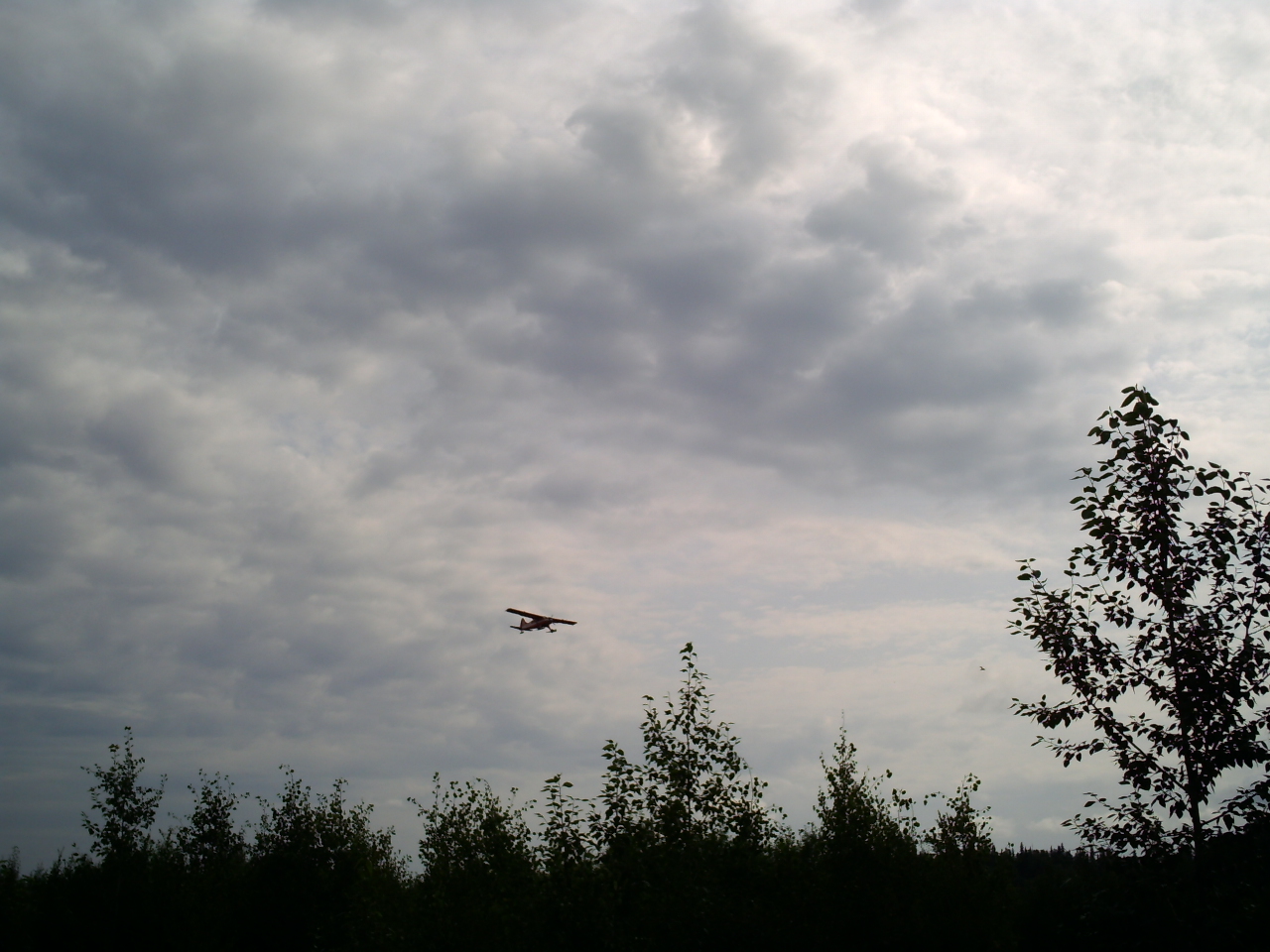 bush plane on it's way to Denali