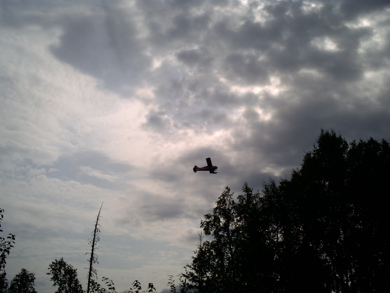 skies on bush plane - it is likely to make a glacier landing