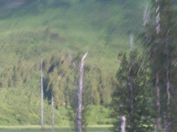 Click picture to enlarge
