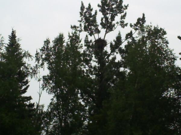 Click picture to enlarge