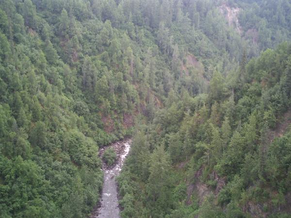 Click picture to enlarge
