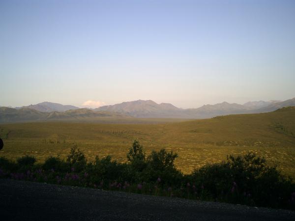 Click picture to enlarge