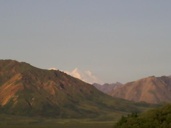 Click picture to enlarge